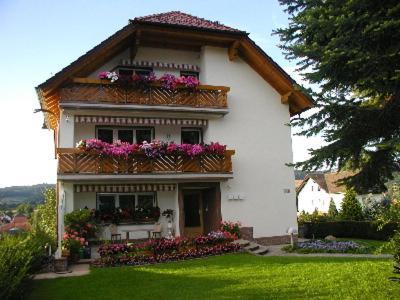 Villa Bellevue Waldkappel Kültér fotó
